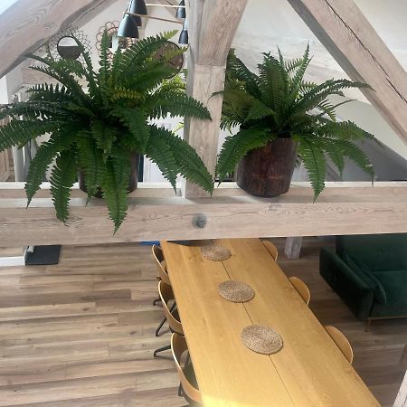 Attic Appart Stary Toruń المظهر الخارجي الصورة