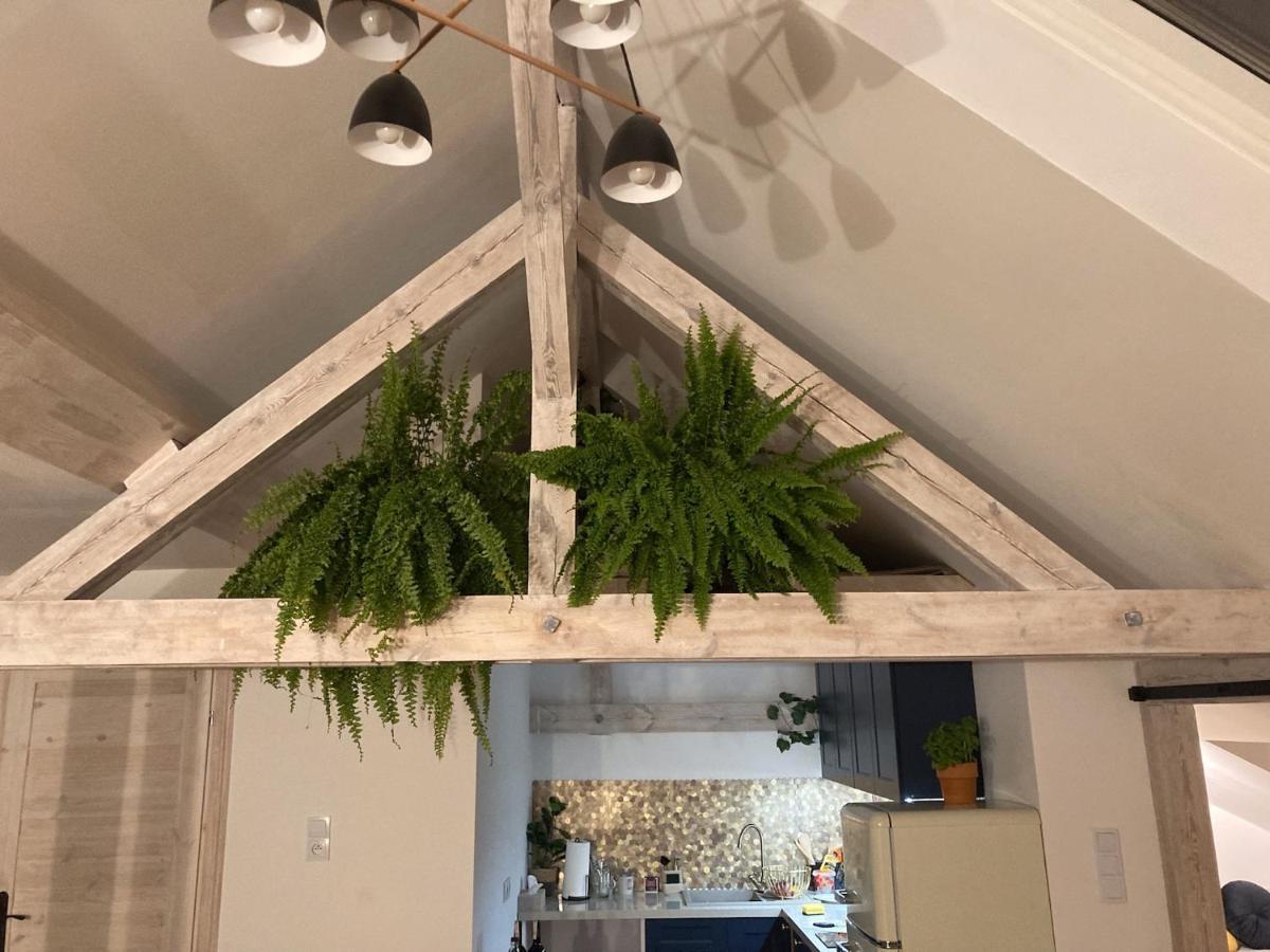 Attic Appart Stary Toruń المظهر الخارجي الصورة