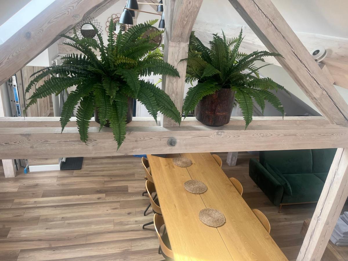 Attic Appart Stary Toruń المظهر الخارجي الصورة