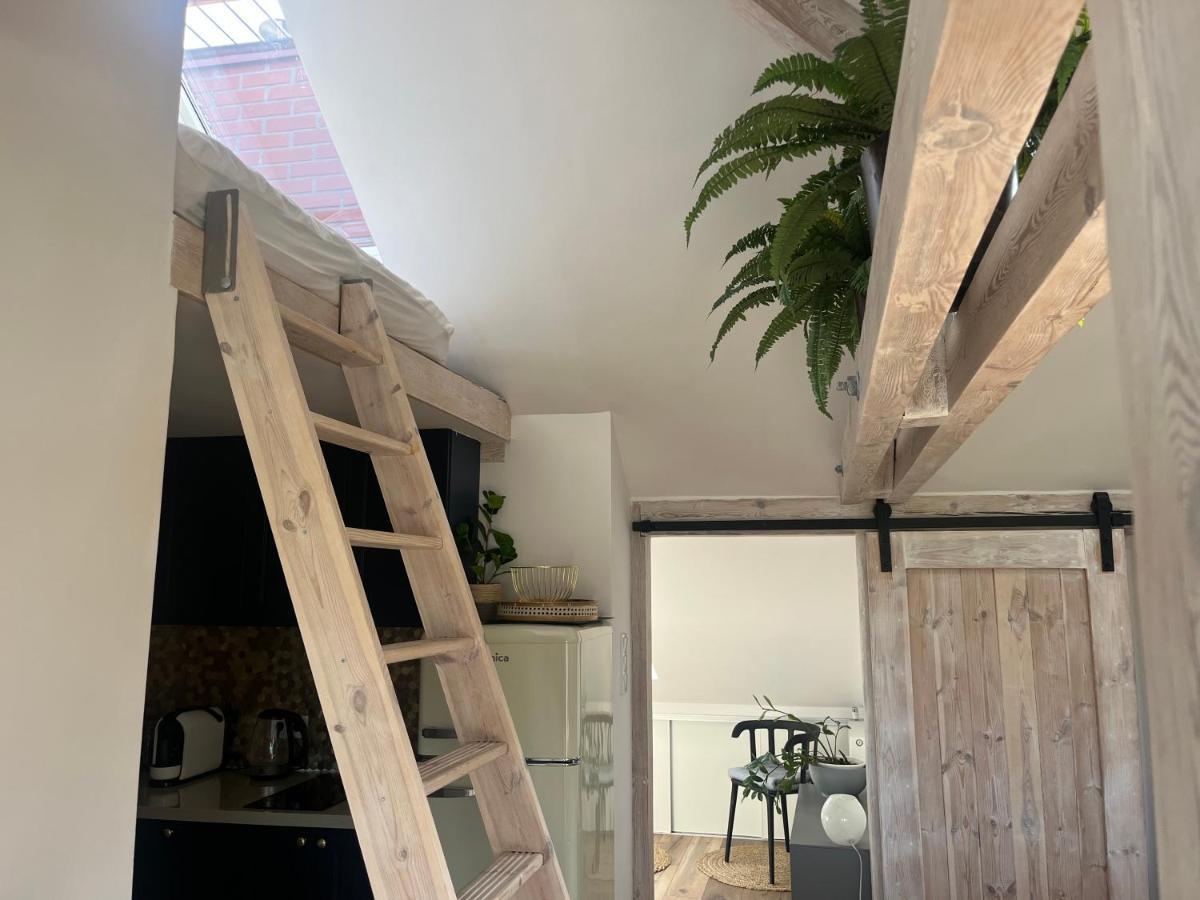 Attic Appart Stary Toruń المظهر الخارجي الصورة
